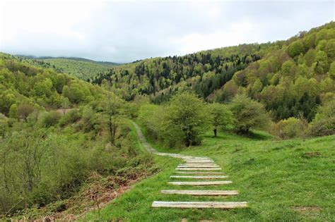 Casas Rurales en Selva de Irati